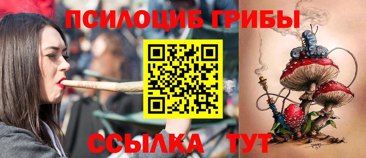 что такое   Псилоцибиновые грибы Psilocybe  Вход с VPN  Псилоцибиновые грибы мицелий  Выборг 