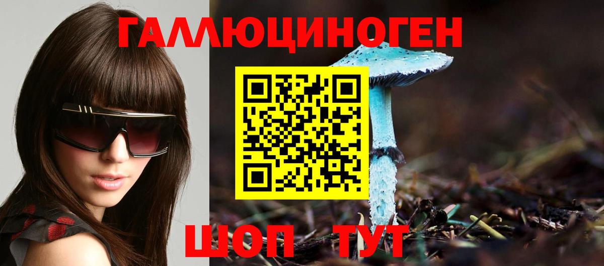 Галлюциногенные грибы Psilocybe Выборг